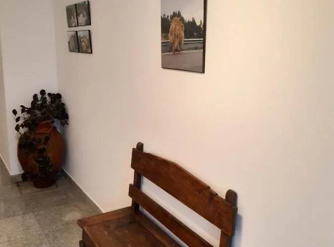 Casa Araci بيت ضيافة 3*